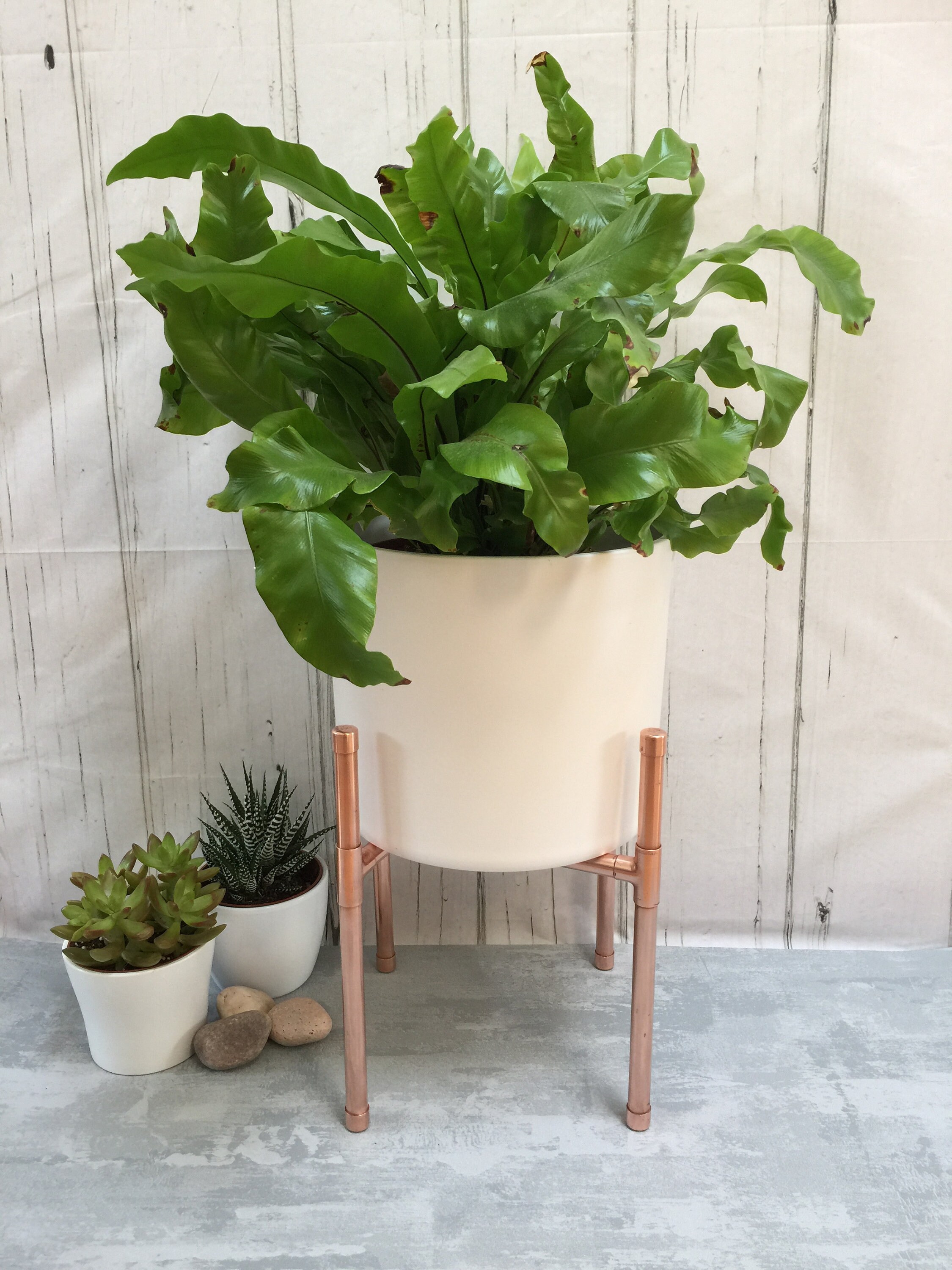 Large Copper Plant Stand holds 10 inch pot Retro Inspired Etsy