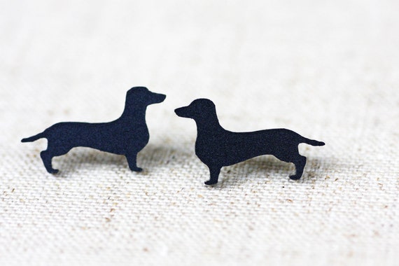 dachshund stud dogs