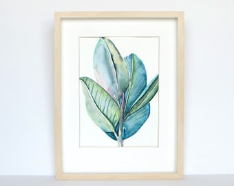 Watercolour Original Ficus Plant Painting