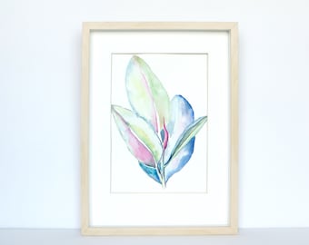 Watercolour Original Ficus Plant Painting