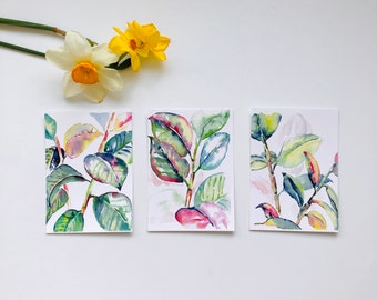 Set of Ficus Elastica Watercolour Cards (1-3), C6 blank greeting cards