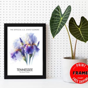 Tennessee State Flower (Iris) Framed Poster, Tennessee Offical State Flower, Tennessee Wall Art Deco, State Symbol, Flower Art (Framed 5x7″)