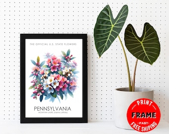 Pennsylvania State Flower (Mountain Laurel) Framed Poster, Pennsylvania Offical State Flower, Pennsylvania Wall Art Decor