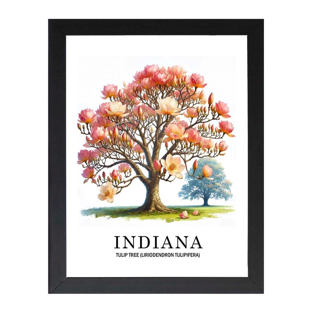 Framed Indiana State Tree Poster, Tulip Tree Botanical Wall Art Print ...