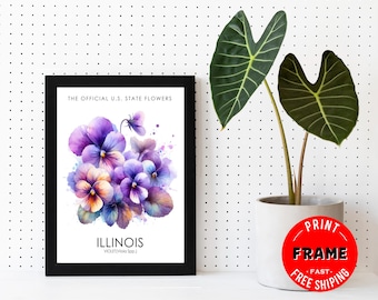 Illinois State Flower (Violet) Framed Poster, Illinois Offical State Flower, Illinois Wall Art Deco, State Symbols, Flower Art