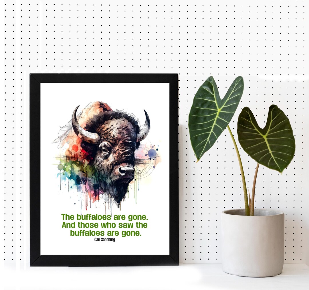 Framed American Buffalo Poster, Bison Wall Art, Western Wildlife Print ...