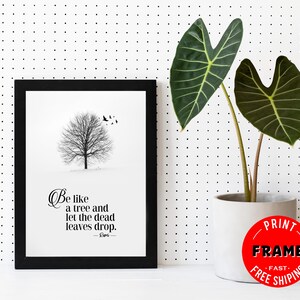 Be Like A Tree , Framed Rumi Quote Poster, Spiritual Quote, Rumi Poem, Rumi Quote Wall Art, Rumi Home Deco (Framed 5x7″)
