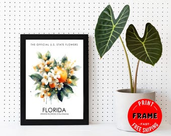 Florida State Flower (Orange Blossom) Framed Poster, Florida Offical State Flowers, Florida Wall Art Decor, State Symbols