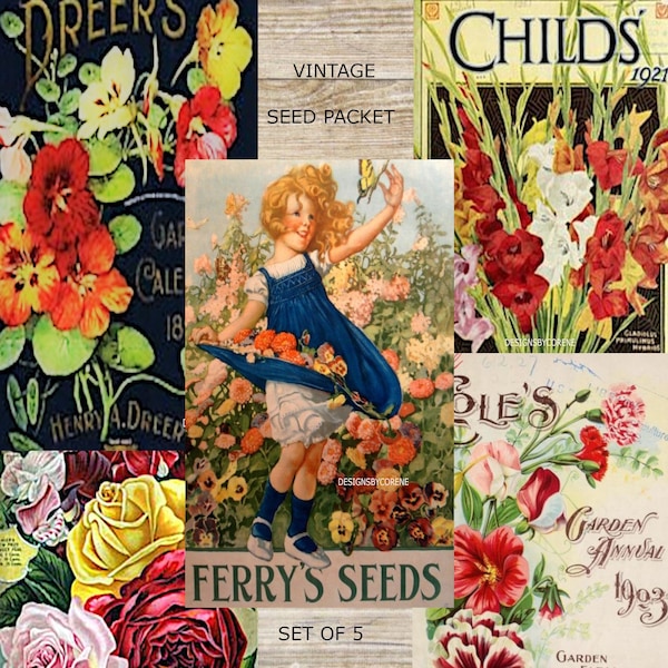 Collage Set of Vintage Digital Seed Packet 5 Vintage Prints Roses Flower Garden Instant Download Printables