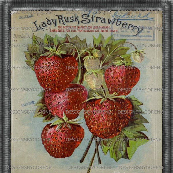 Primitive Vintage Strawberry Seeds Wall Art Print,Labels,Hang Tags,Journal Page,Feedsack Logo,Pillow Transfer Farmhouse Image