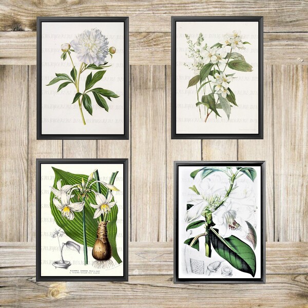 Vintage Botanical Floral Wall Art Collage Set of 4 Prints/Tags/Cards, Digital Printable Download