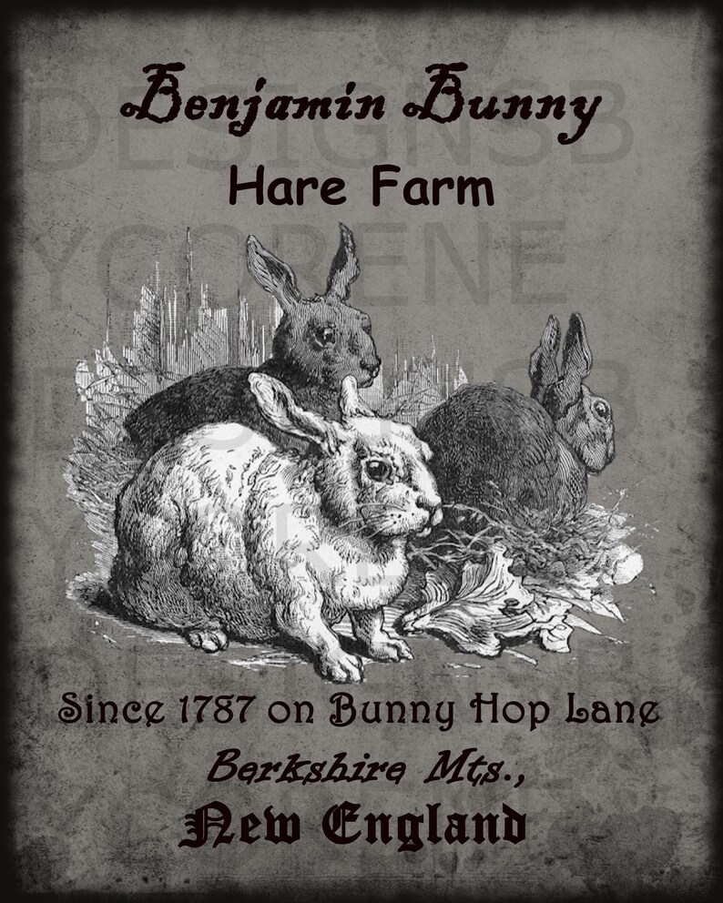 Primitive Vintage Benjamin Bunny Hare Farm Printable Digital Image Feedsack Logo for Pillows Pantry Labels Hang tags Magnets Ornies