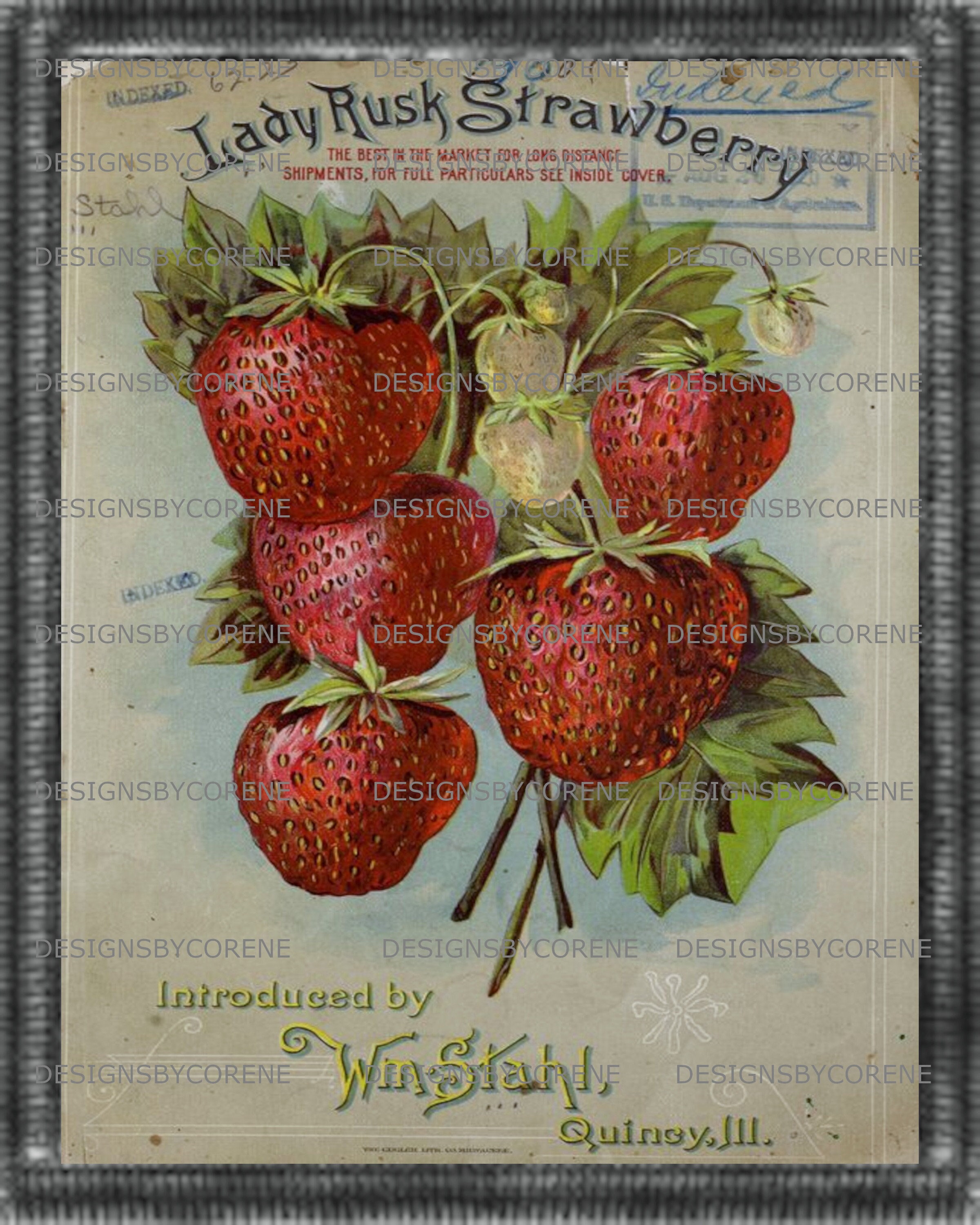 Primitive Vintage Strawberry Seeds Wall Art Printlabelshang