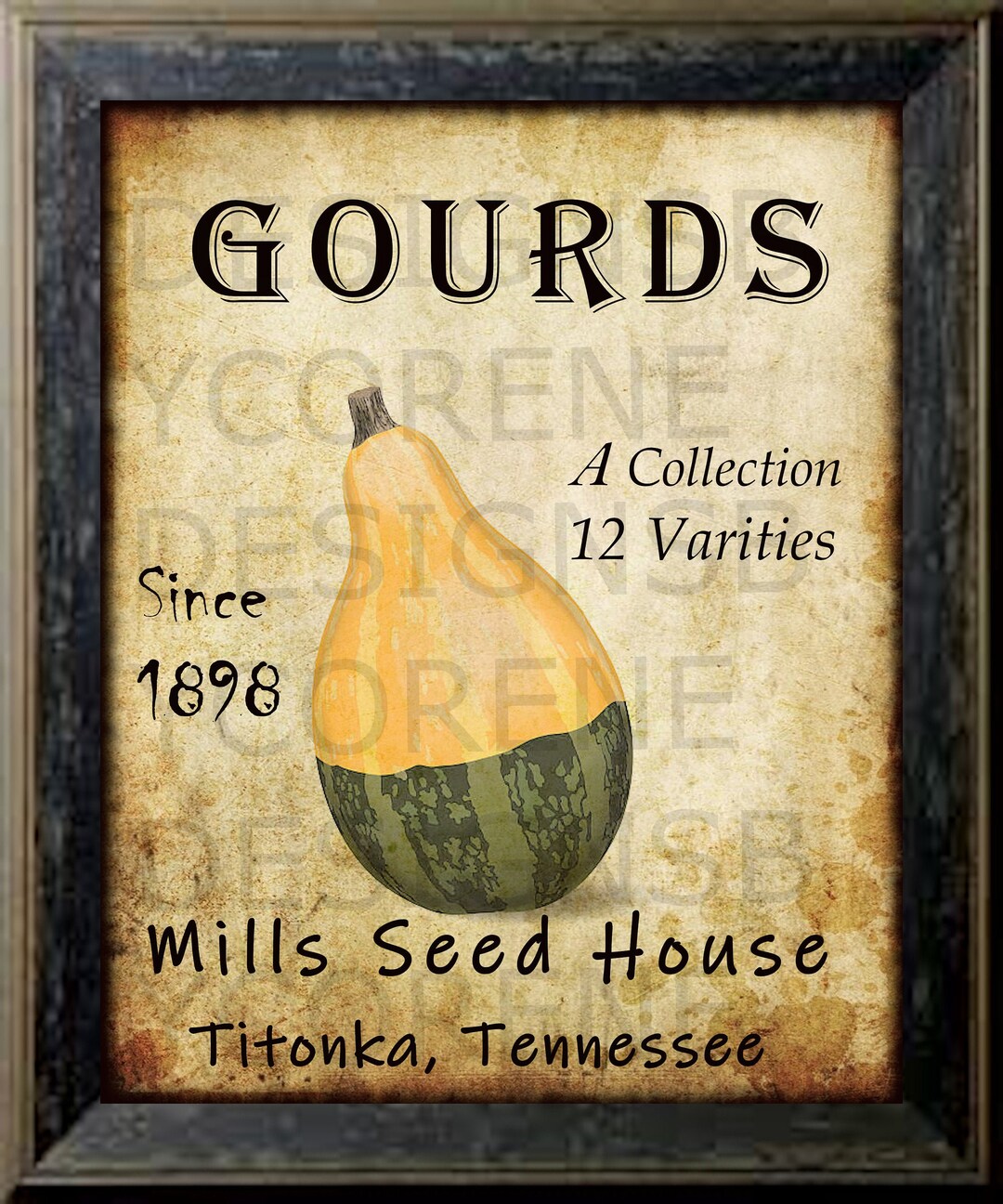 Primitive Vintage Gourd Seed Catalog Print Digital Image Feedsack Logo