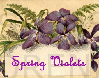 Spring Violets Post Card Digital Printable Instant Download