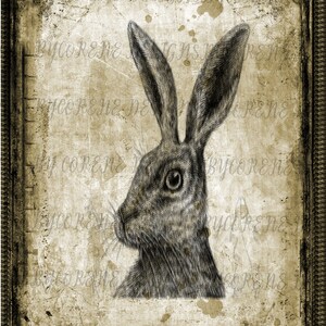 Primitive Vintage Hare Rabbit Print Digital Image Feedsack - Etsy