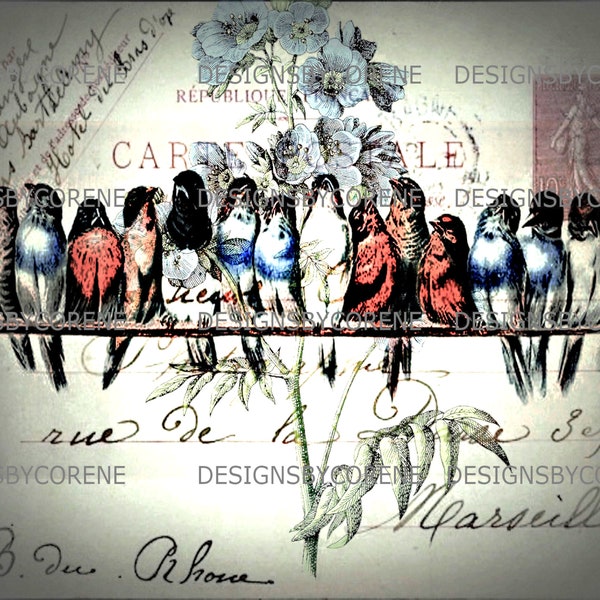 Farmhouse Birds on a Wire Post Card Printed on Cardstock and Mailed To You