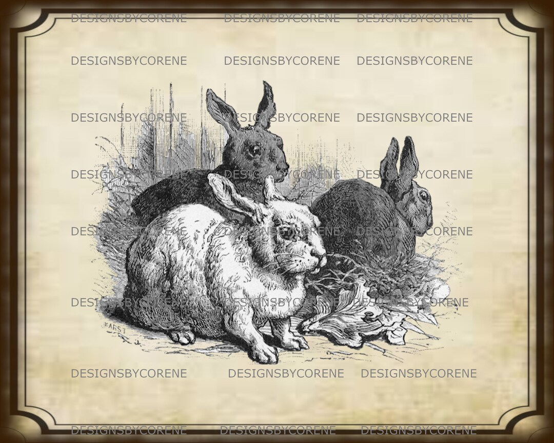 Primitive Digital Art Haresrabbitsbunnies Primitive Jar Candle Logo