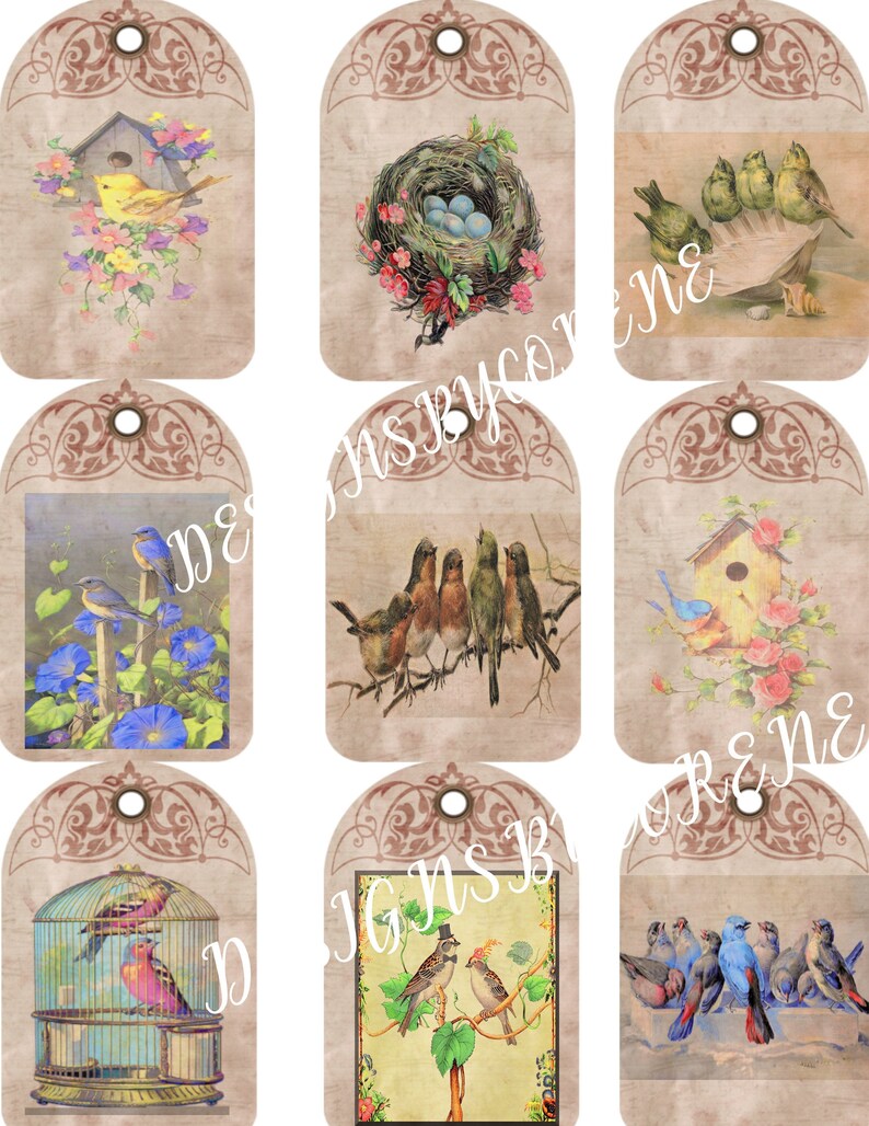 bird tags labels stickers rustic farmhouse digital printable etsy