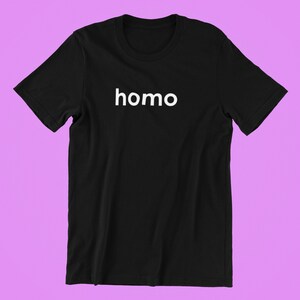 Camisa homo, camisa gay, camisa do orgulho, camisa LGBT, camisa do orgulho, orgulho, camiseta do orgulho gay, camisa lésbica, camisa queer, lésbica, camisa LGBTQ