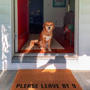 May include: A brown and white dog with a red collar sits on a welcome mat that says "Please Leave By 9". The dog is looking at the camera. The mat is in front of a red door.
