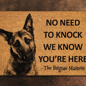 Belgian Malinois Doormat, Belgian Shepherd Mat, No Need to Knock Belgian Malinois Shepherd Doormat, Welcome Dog Mat Belgian Shepherd S769