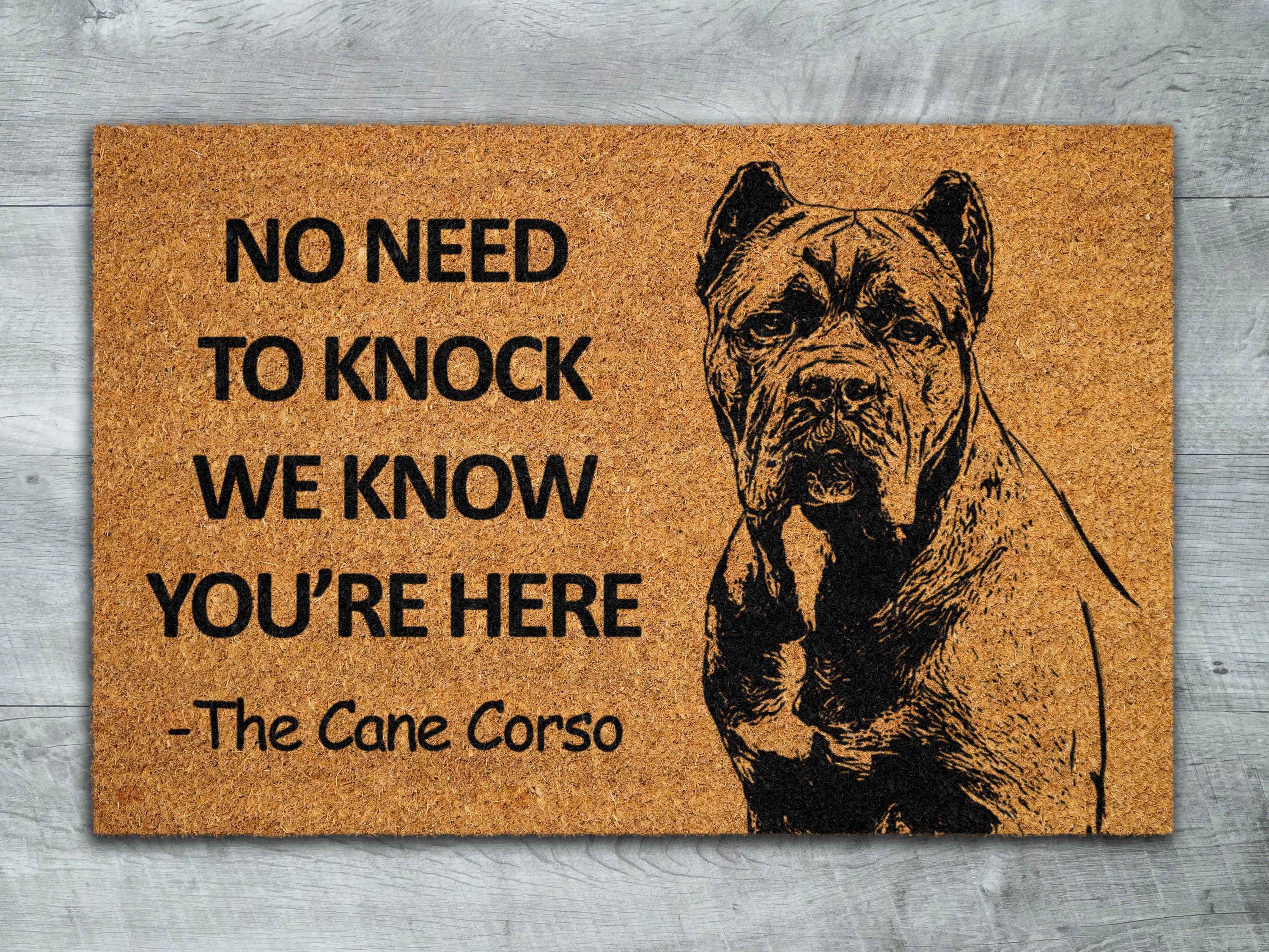 Cane Corso Door Mat, Cane Corso We Know You ARE Here Door Mats, Funny Doormat, Cane Corso Welcome Mats S652