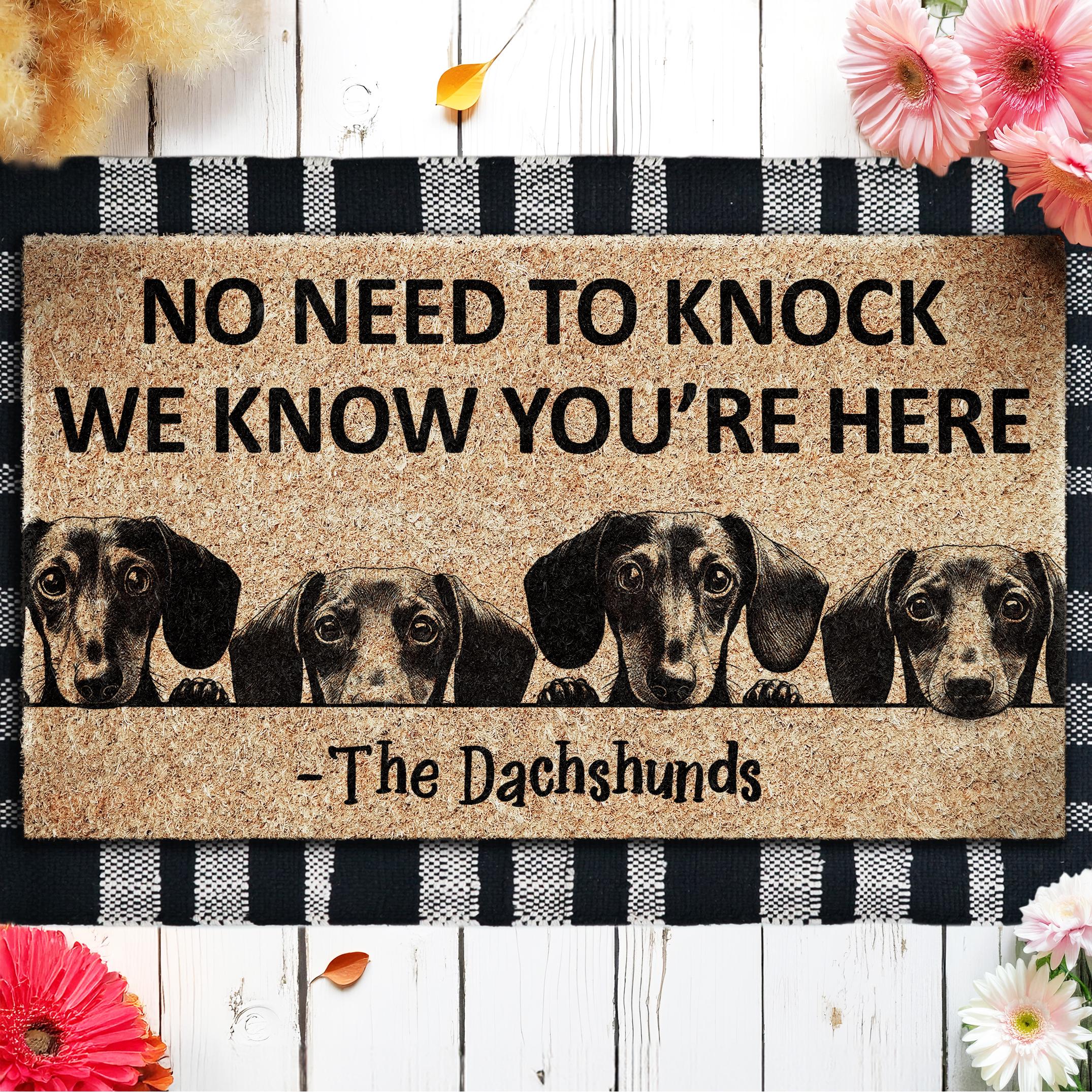Dachshunds Doormat,  We Know You ARE Here Dachshund Door Mat, Dachshund Doormat, Welcome Funny Doormat, Welcome Coir Mat, Dog Breed Mat U800