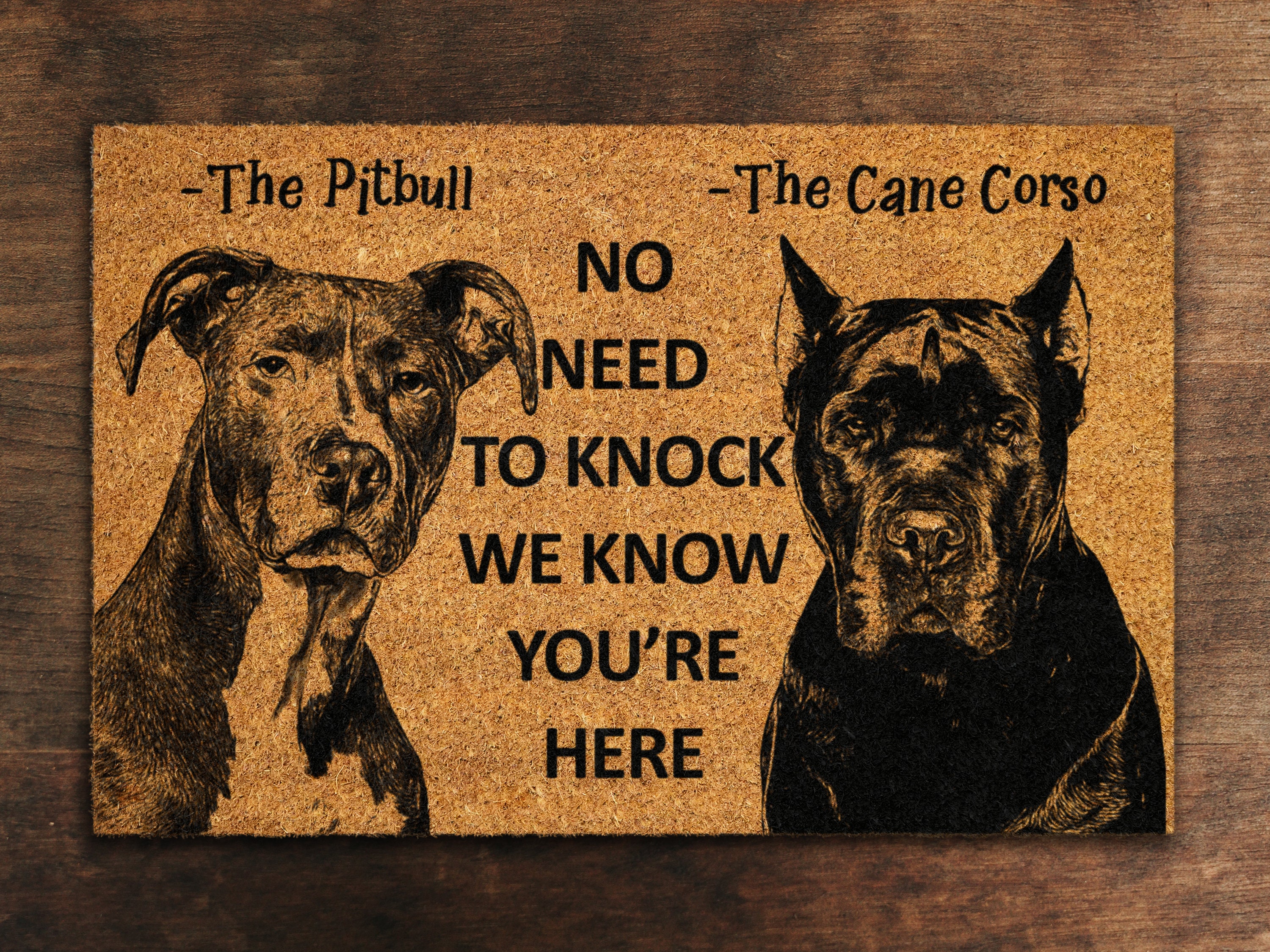 MIXDING You and Me and The Dogs Camper Entrance Door Mat 17x30 Inch Doormats