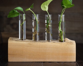 Propagation Station/propagation planter/ Live Edge/house plant gift /plant holder /grow rack/hydroponic station for growing/propagation vase