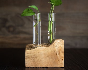 Propagation Station/plant holder/propagation planter/Live Edge / Propagation /hydroponic station for growing /grow rack/propagation vase