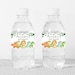 Editable Dinosaur Baby Shower Bottle Label, Dino Baby Shower Water ...