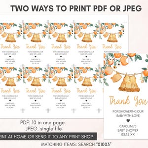 Citrus Baby Shower Gift Tags