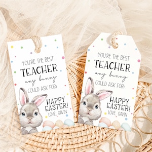 Bearbeitbare Lehrer Geschenkanhänger, du bist der beste Lehrer, den jeder Hase um Favor Tag bitten könnte, Osterhasen-Anerkennungsanhänger, Ostergeschenkanhänger, 90SE
