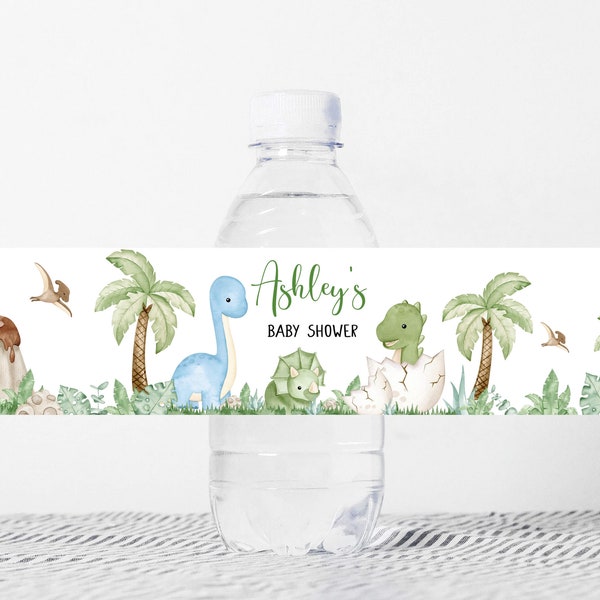 Dinosaur Baby - Etsy