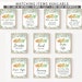 Editable Dinosaur Baby Shower Bottle Label, Dino Baby Shower Water ...