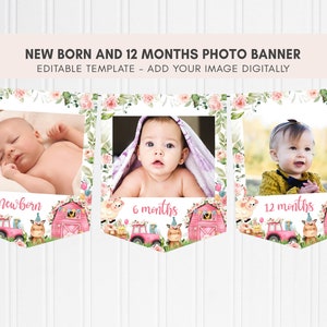 May include: A pink and green photo banner with three frames for pictures. The frames are decorated with flowers and farm animals. The text "newborn", "6 months", and "12 months" is printed below each frame.