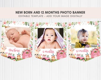 Editable Farm Birthday Monthly Photo Banner, Pink Barnyard Birthday Banner, Girl Farm Animals First Birthday Party, Milestone Banner 321BD