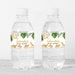 Editable Dinosaur Baby Shower Water Bottle Labels Gold Dino - Etsy