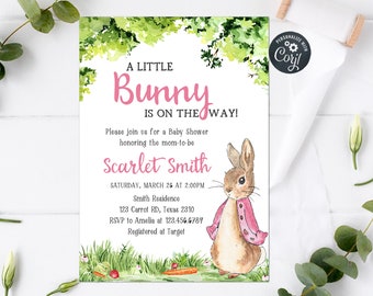 Editable Pink Peter Rabbit Baby Shower Invitation Girl Rustic Bunny Baby Shower Invite Spring Garden Party Invite Printable Template 0241