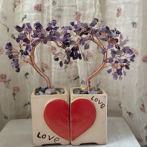 Heart Shaped  Money Trees Love Pots