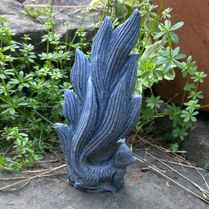 Blue Ridge Coral Crystal Nine Tail Craving