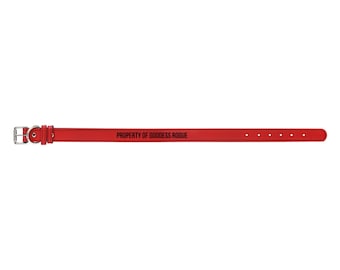 Property of Goddess Rogue leather pet collar | engraved name band