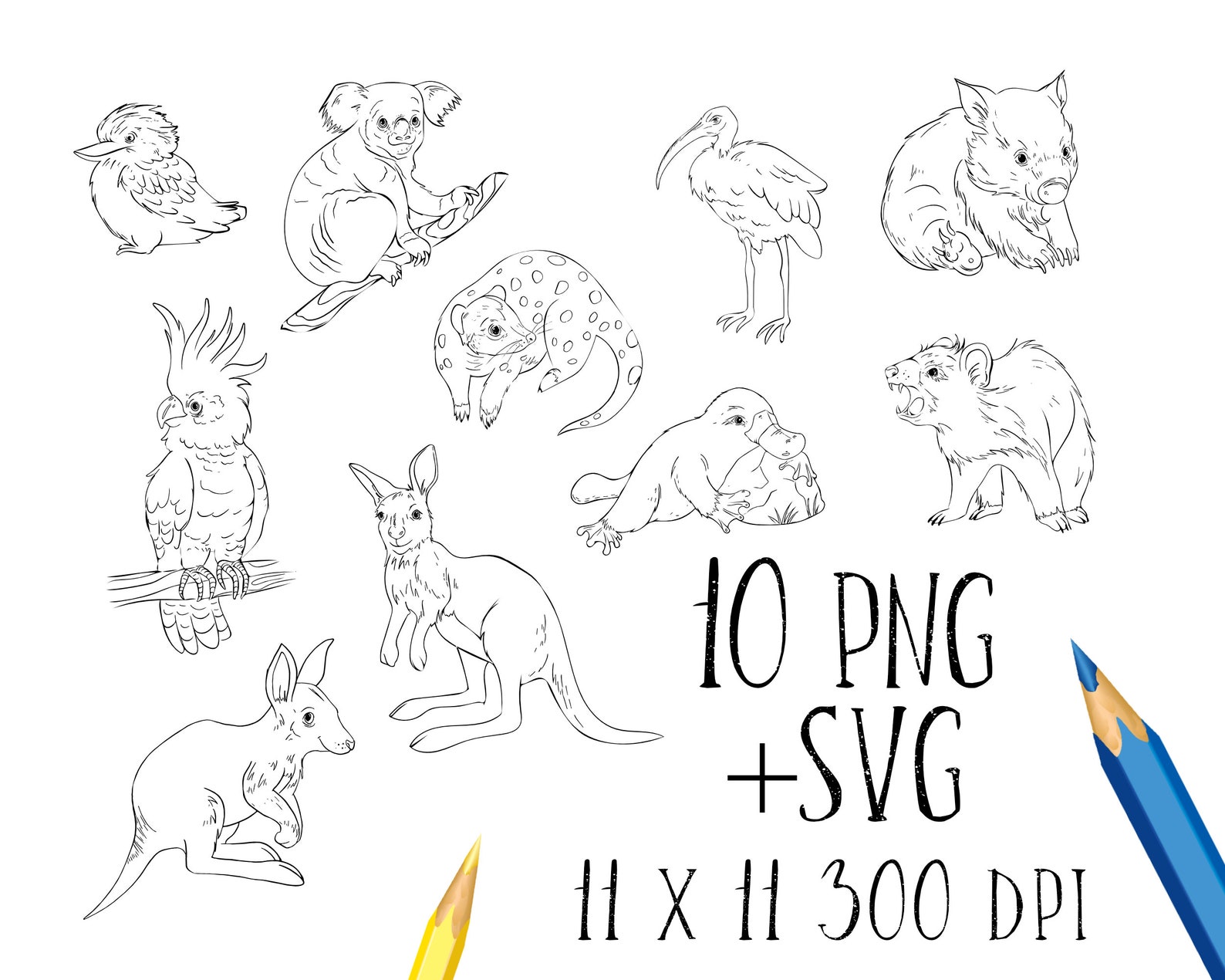 10 Australian Animal Coloring Pages for Creative Kids