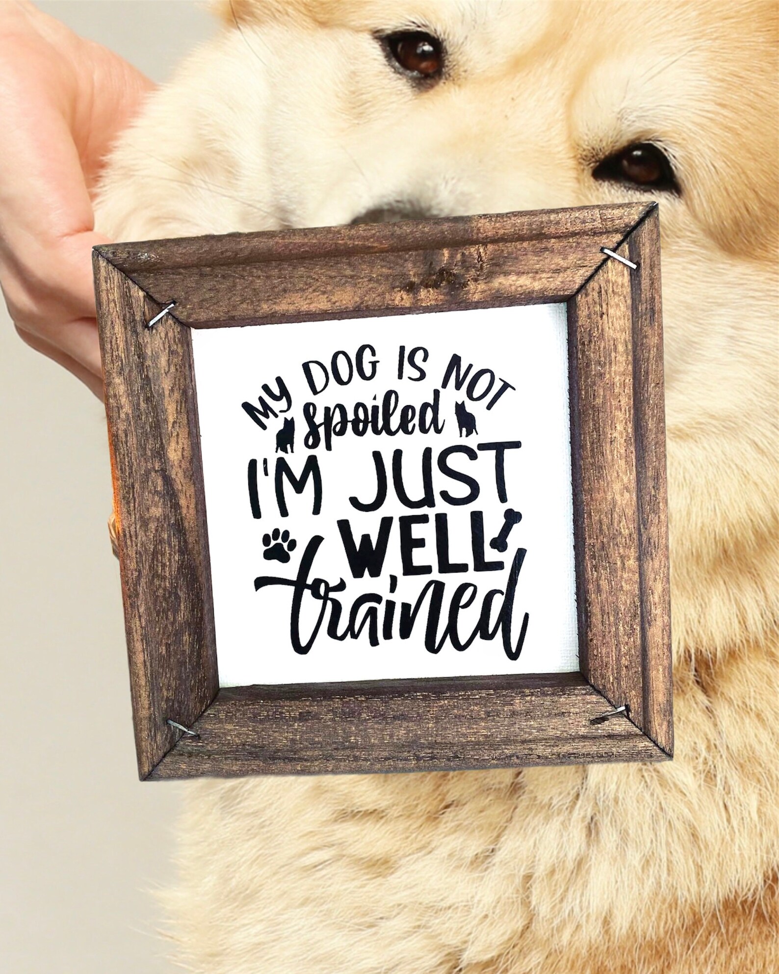 Mein Hund ist nicht verwöhnt ich bin einfach gut ausgebildet Etsy