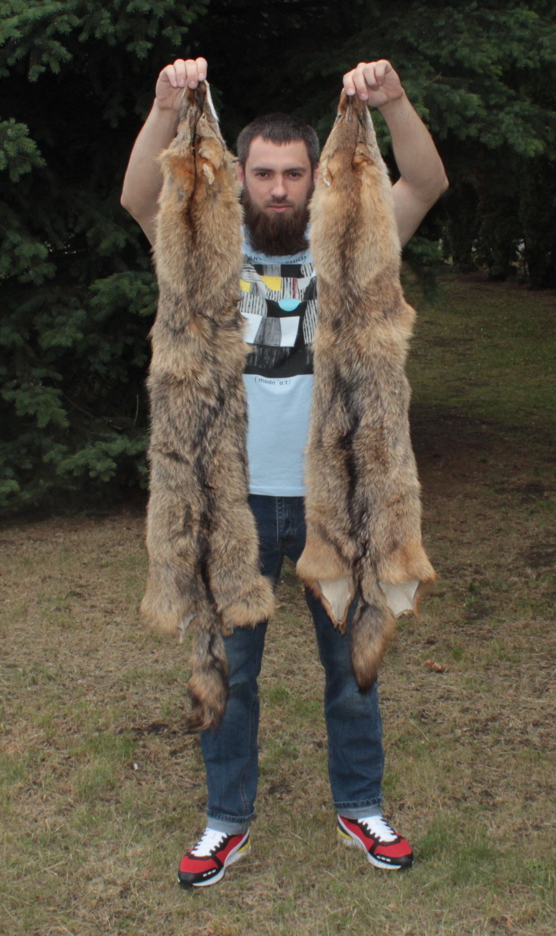 Jackal fur / Jackal hide / Jackalskin / jackal pelt / real | Etsy