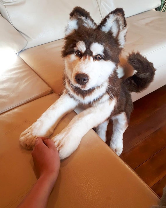 peluche animaux realiste