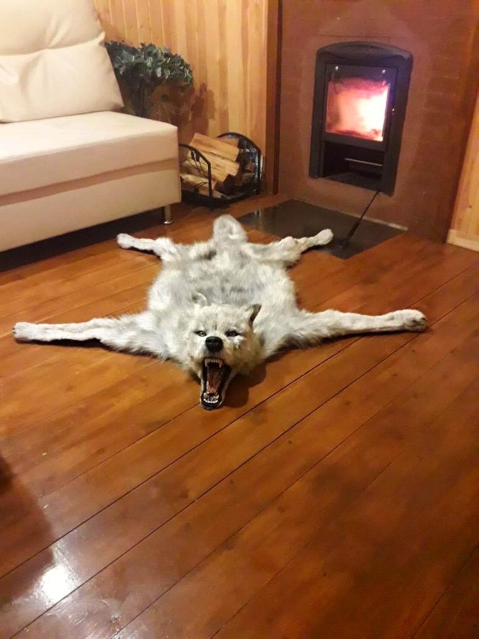 Realistic wolf skin. Faux fur. Natural hide. Wolf skin. Etsy