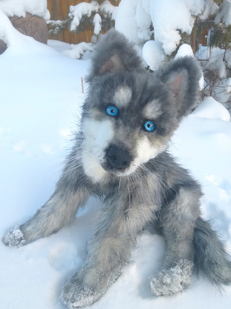 realistic wolf plush