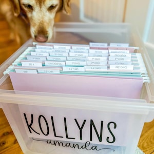 Milestone Tote Folder Labels | Baby Shower Newborn Gift | Kids File Box | Instant Download